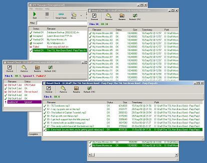 SFVManager Screenshot